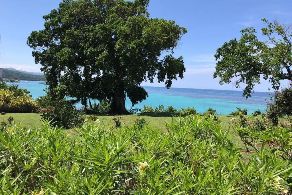 Contemporary Ocean View 2Bed Carib Ocho Rios Condo Eksteriør billede